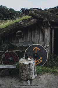 Everyday life of Vikings