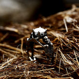 Gothic Skeleton Rings