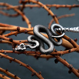Vintage Snake Pendant Necklace – Stainless Steel Punk Animal Amulet