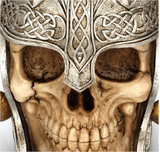 Viking Warrior Skull Stainless Steel Mug